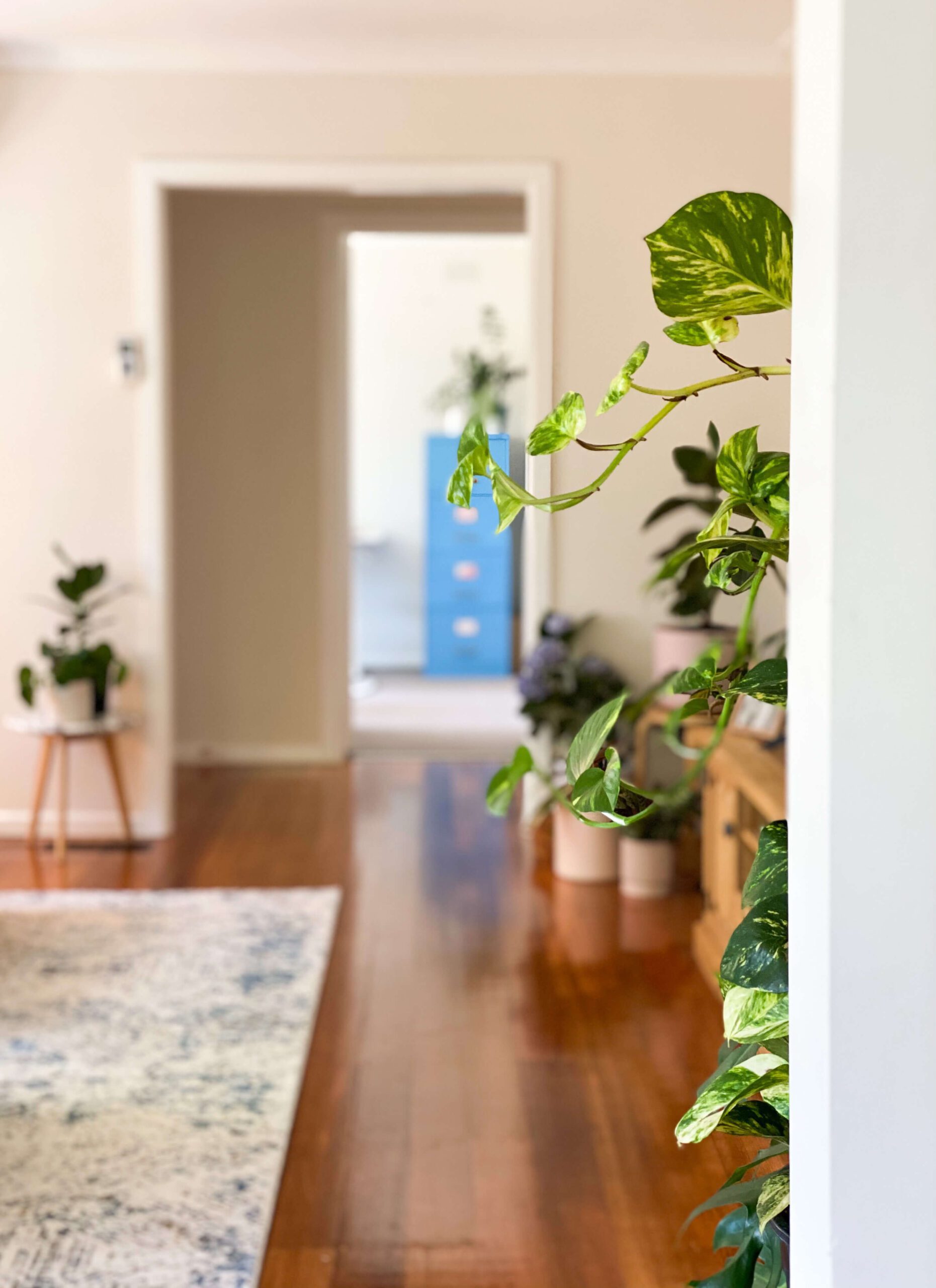 living room styling with green plants