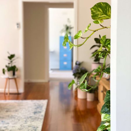 living room styling with green plants
