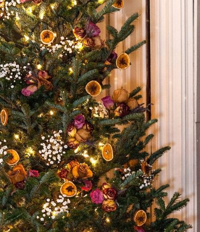 Dried fruit and baby's breath on christmas tree