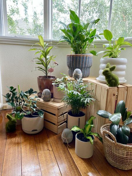 Plant corner design