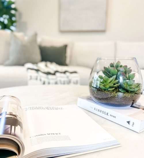 terrarium on coffee table